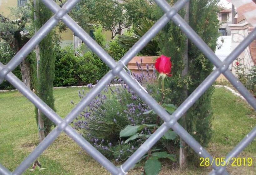 اتاق لوکس, Il Giardino Degli Ulivi