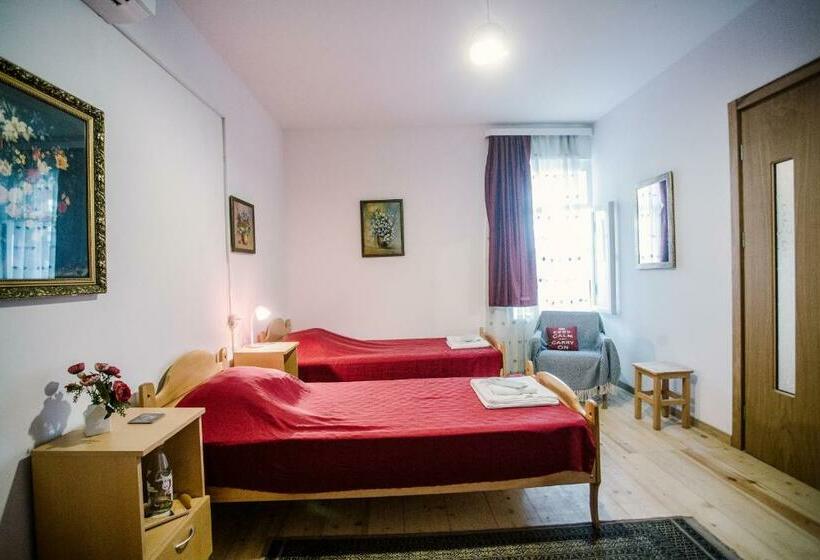 اتاق استاندارد سه تخته با سرویس بهداشتی مشترک, Chateau Dzveli Gavazi