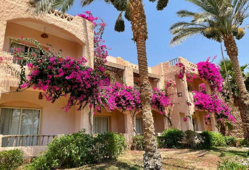 اتاق استاندارد با چشم‌انداز باغ, Soulotel Inn Blue Resort & Spa