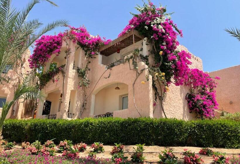 اتاق استاندارد با چشم‌انداز دریا, Soulotel Inn Blue Resort & Spa