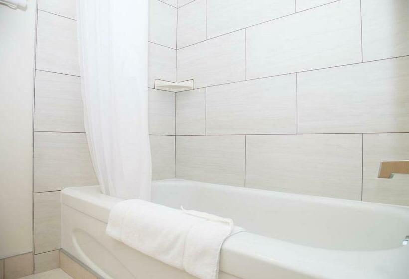 Номер Стандарт 2 Двуспальные Кровати, Twin Pine Inn & Suites