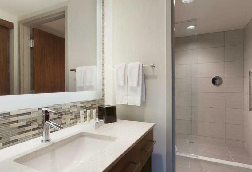سوئیت با تخت بزرگ, Homewood Suites By Hilton Pittsburgh Downtown