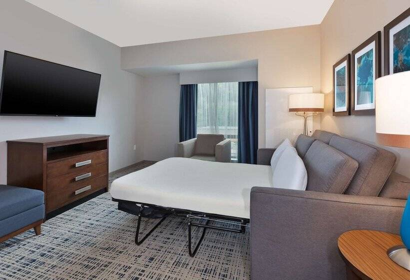 سوییت, Homewood Suites By Hilton Pittsburgh Downtown