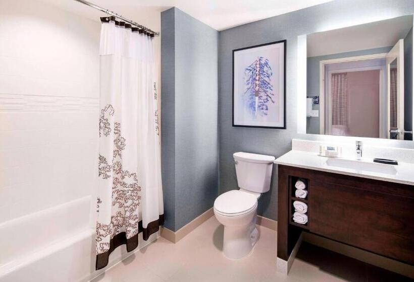 ２ベッドスイートルーム, Residence Inn By Marriott Boston Watertown