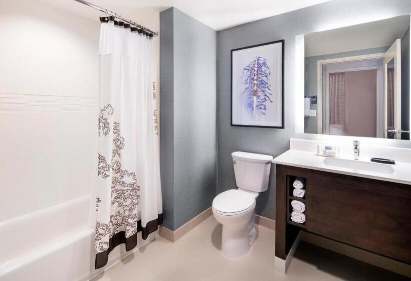 ２ベッドスイートルーム, Residence Inn By Marriott Boston Watertown