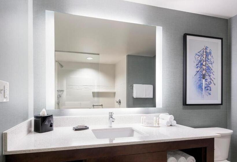 ２ベッドスイートルーム, Residence Inn By Marriott Boston Watertown