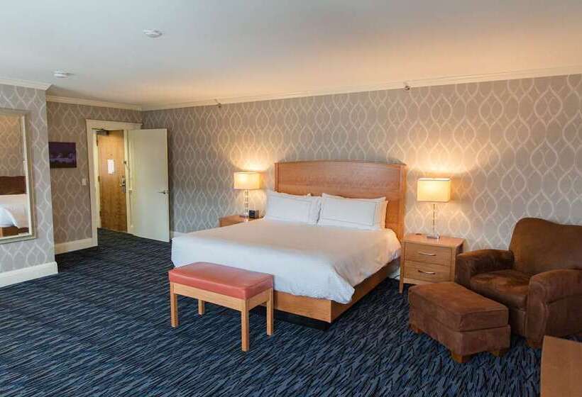 Suite King Size Seng, Residence Inn By Marriott Chicago Downtown Magnificent Mile