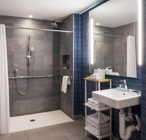 适合残疾人士使用的高档房间, Novotel Miami Brickell