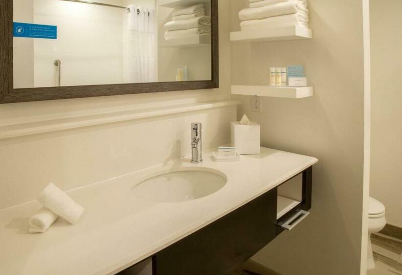 스탠다드 룸 킹사이즈 침대, Hampton Inn & Suites Murrieta Temecula