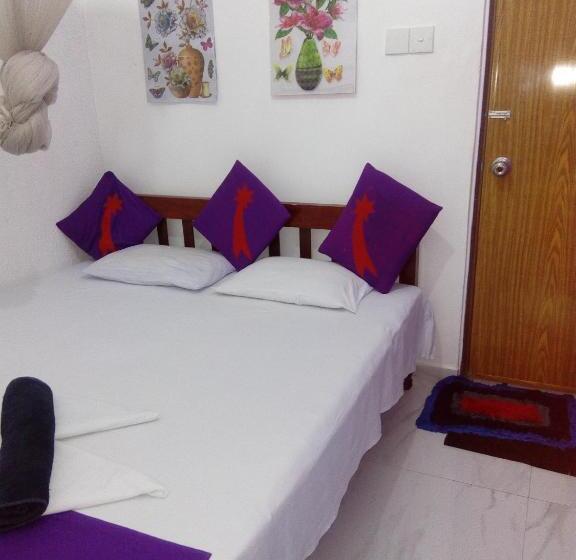 이코노미 룸, Evening Star Guest Inn