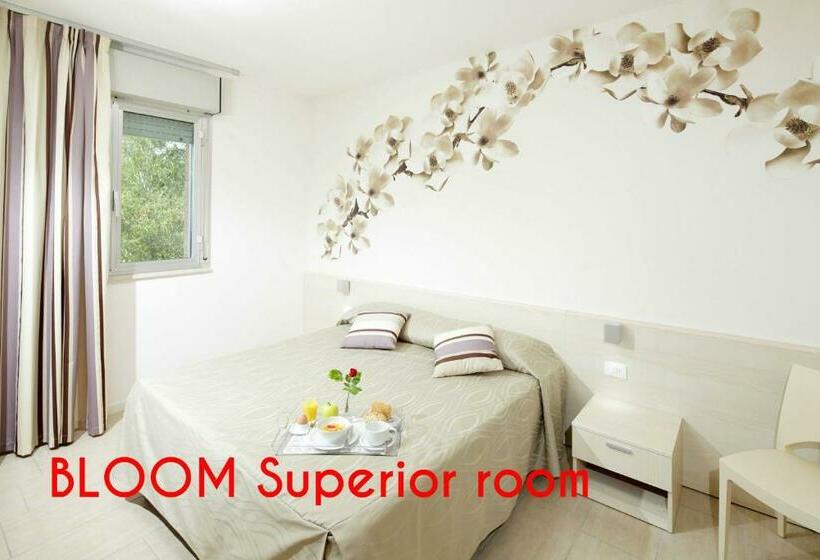 Standard Room, Alex