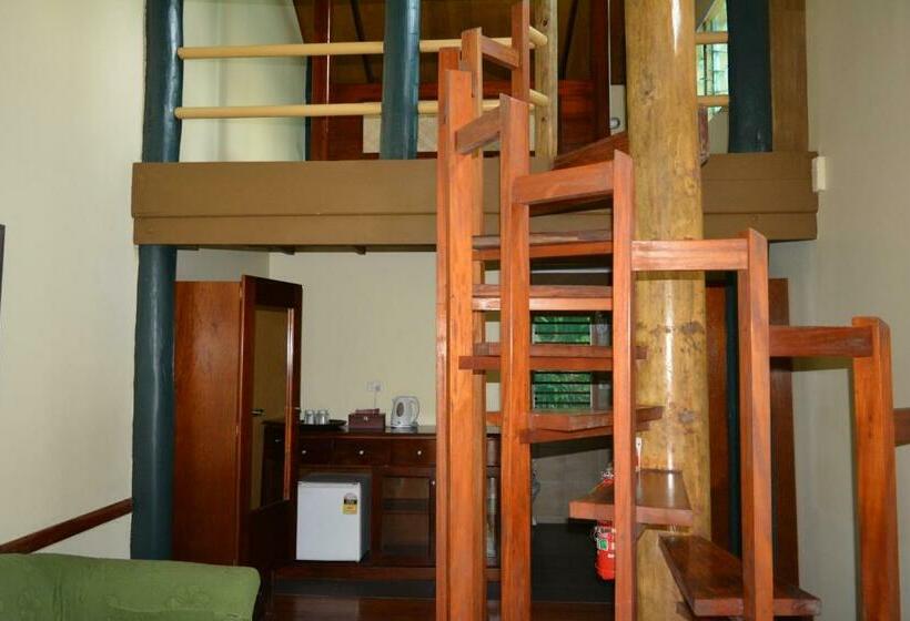 Студия Стандарт, Rainforest Eco Lodge