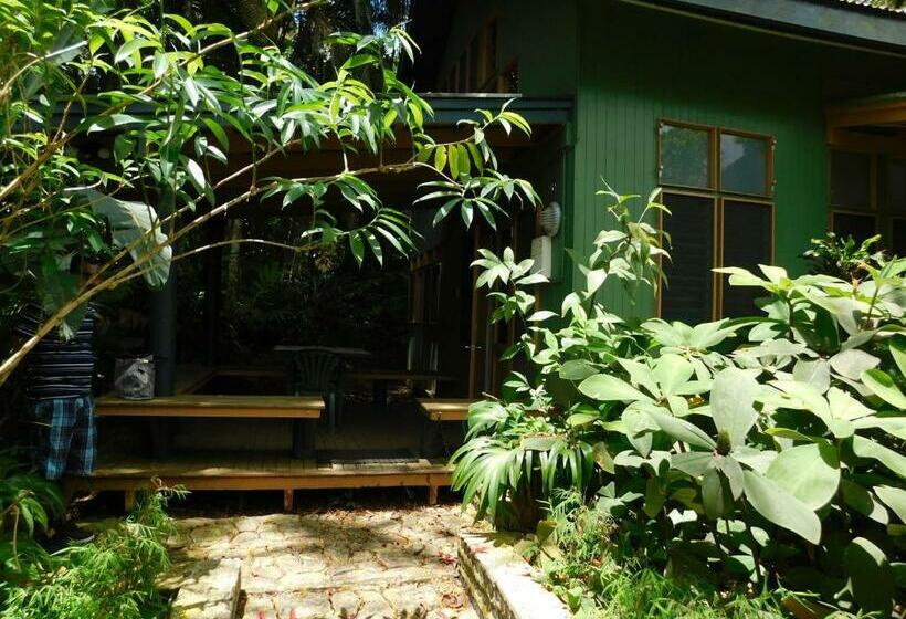 Студия Стандарт, Rainforest Eco Lodge
