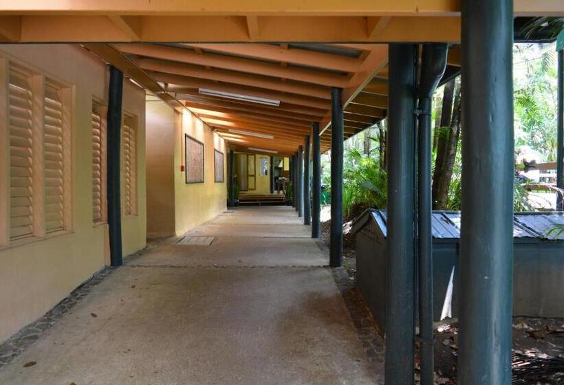 이코노미 룸, Rainforest Eco Lodge