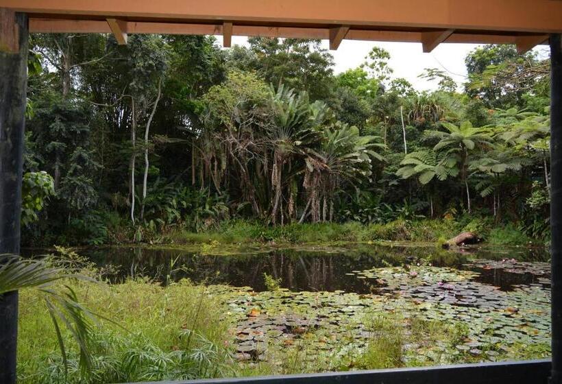 Номер Economy, Rainforest Eco Lodge