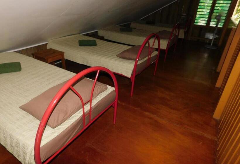 Семейный Номер, Rainforest Eco Lodge