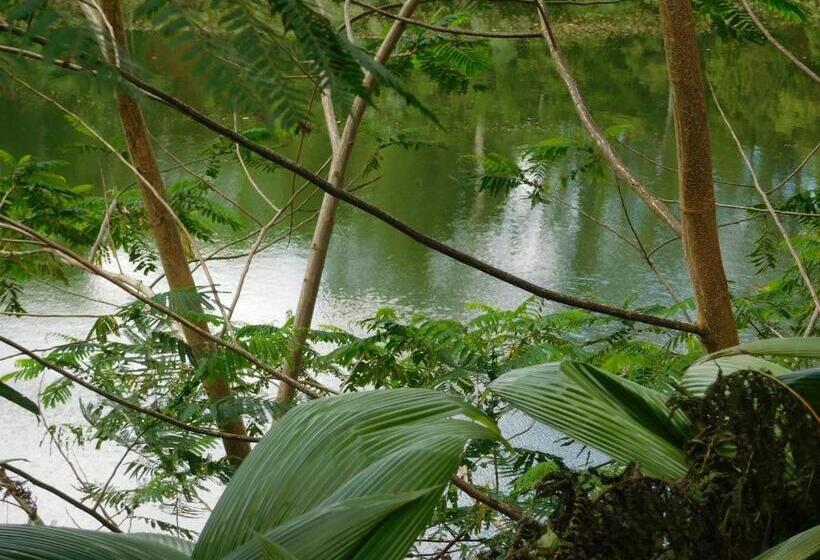 Номер Стандартный с Видом, Rainforest Eco Lodge