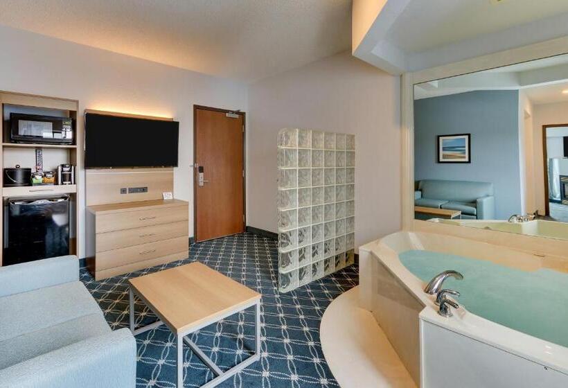 Люкс Кровать Кинг, Parkshore Resort