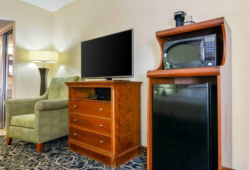 اتاق استاندارد با تخت بزرگ, Quality Inn Idaho Falls