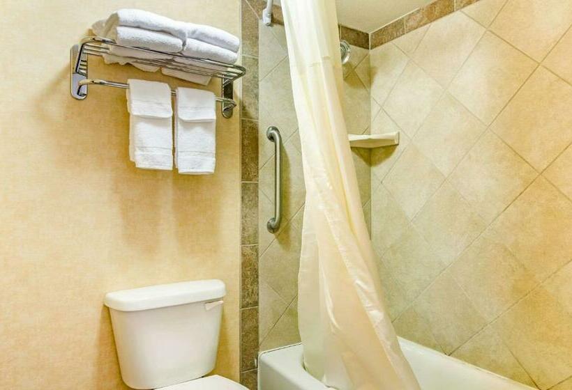 اتاق استاندارد با تخت بزرگ, Quality Inn Idaho Falls