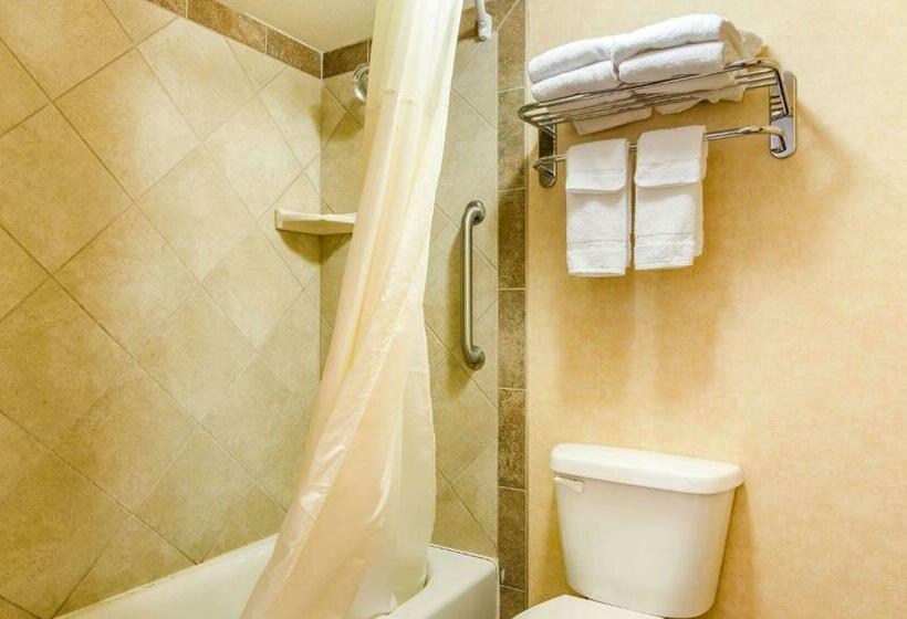 اتاق استاندارد, Quality Inn Idaho Falls