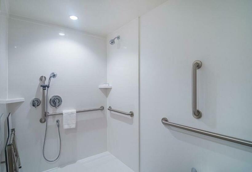 Номер Стандарт Кровать Кинг Адаптированный для Инвалидов, Hampton Inn Chicago North-loyola Station