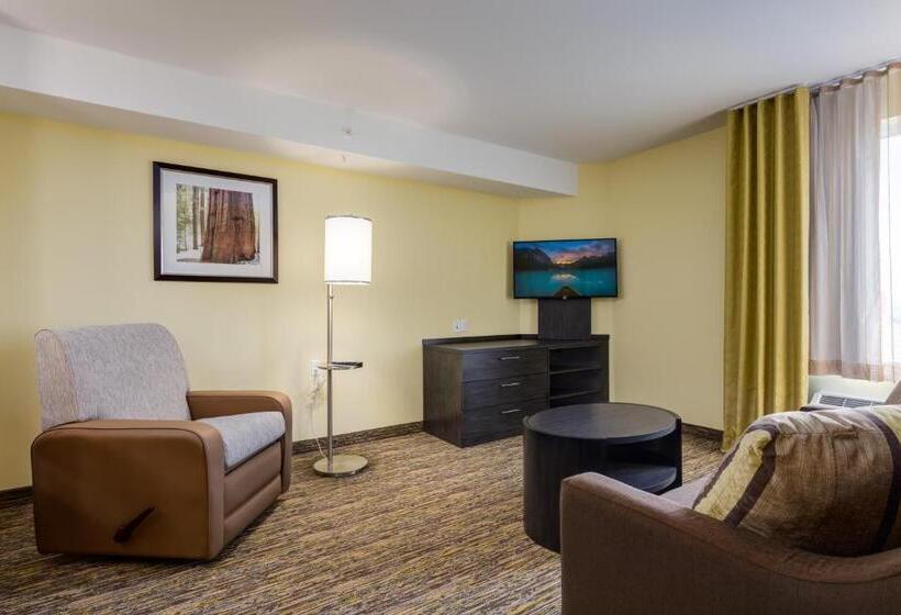 带大床的套房, Park Inn By Radisson, Calgary Airport North, Ab