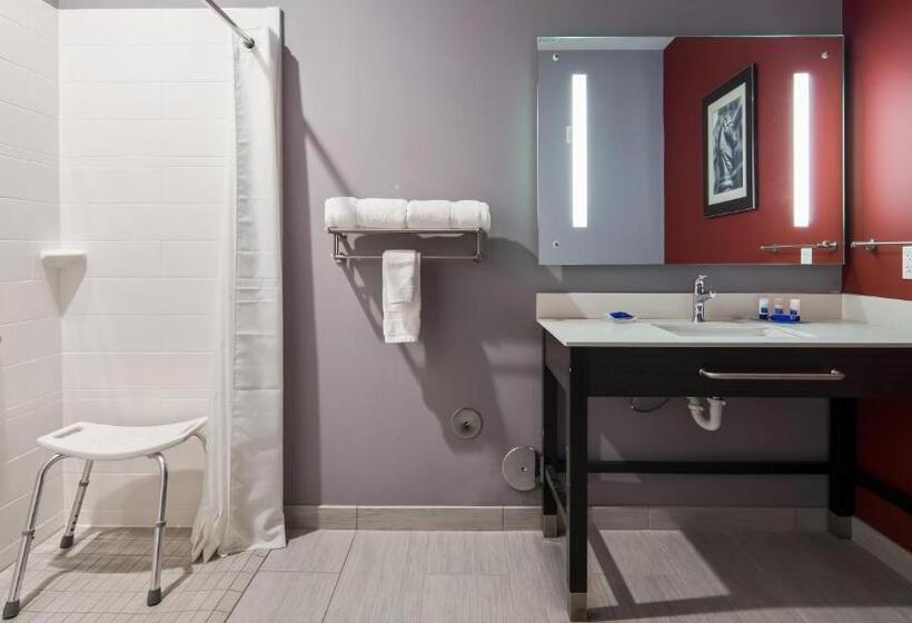 Номер Стандарт Кровать Кинг Адаптированный для Инвалидов, Del Mar Airport Inn & Suites