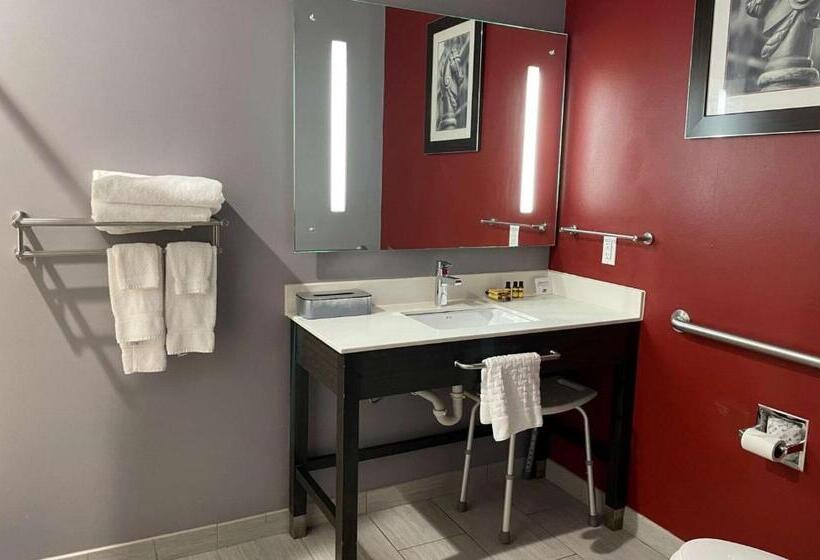 Номер Стандарт Кровать Кинг Адаптированный для Инвалидов, Del Mar Airport Inn & Suites