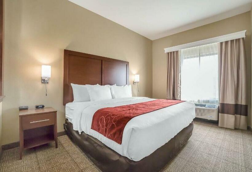 Люкс Кровать Кинг, Comfort Suites Billings