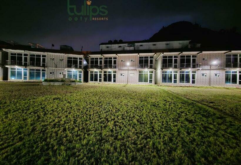 豪华房间, Tulips Village Resorts