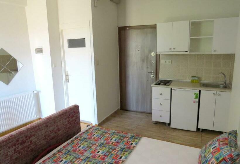 استودیو استاندارد با بالکن, Istanberry   Vanilla Apartments