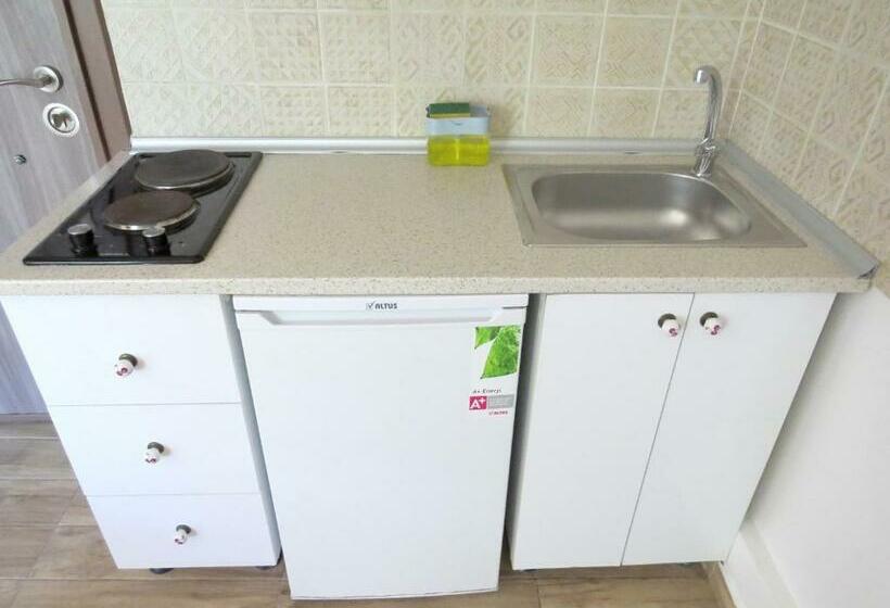 استودیو استاندارد با بالکن, Istanberry   Vanilla Apartments