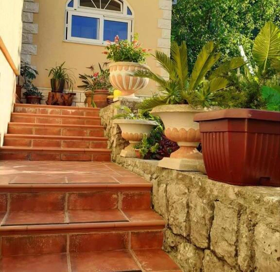 استودیوی استاندارد با چشم‌انداز دریا, Guesthouse Gavrilović 28 A