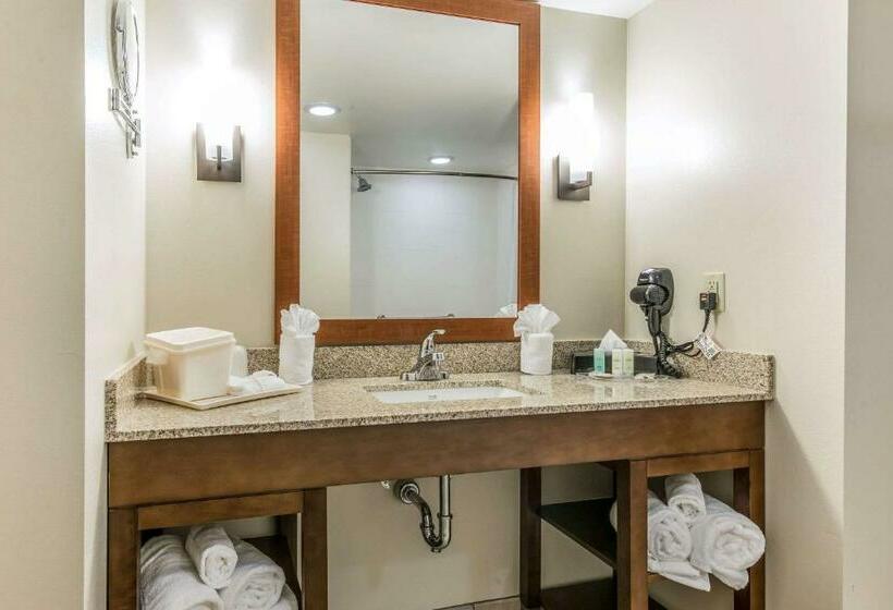 스위트, Comfort Suites Dunnellon Near Rainbow Springs