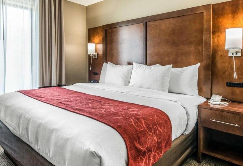 스위트 킹사이즈 침대, Comfort Suites Dunnellon Near Rainbow Springs
