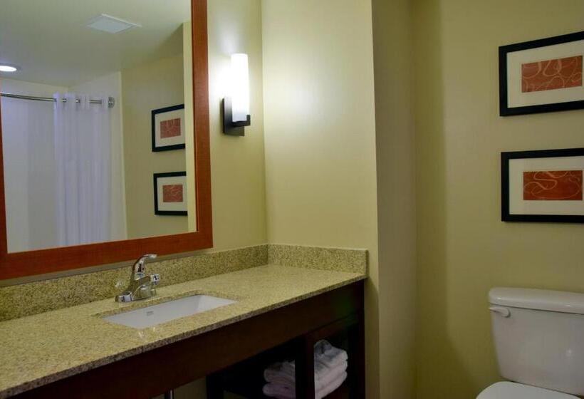 스위트, Comfort Suites Dunnellon Near Rainbow Springs