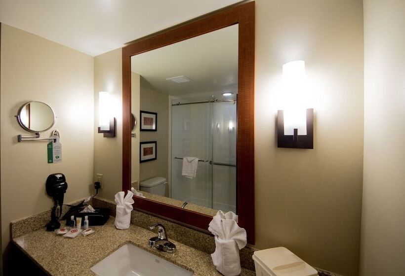 스위트, Comfort Suites Dunnellon Near Rainbow Springs