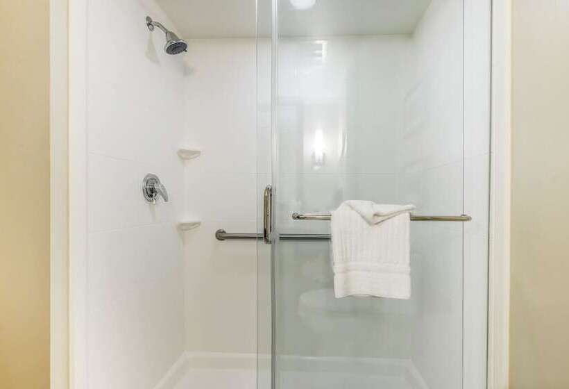 스위트, Comfort Suites Dunnellon Near Rainbow Springs