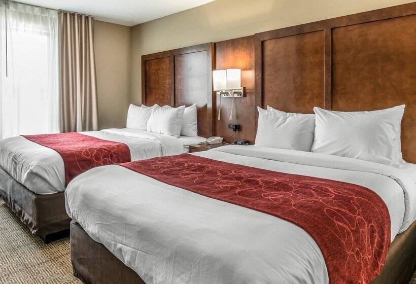 스위트, Comfort Suites Dunnellon Near Rainbow Springs