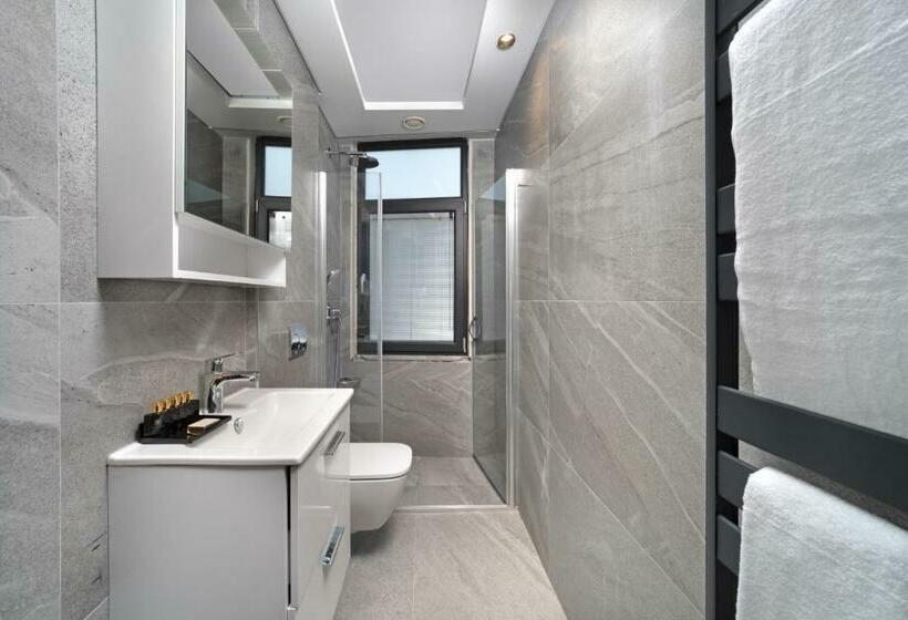 اتاق سوپریور سه تخته, Plat Inn Hotel Taksim   Special Category