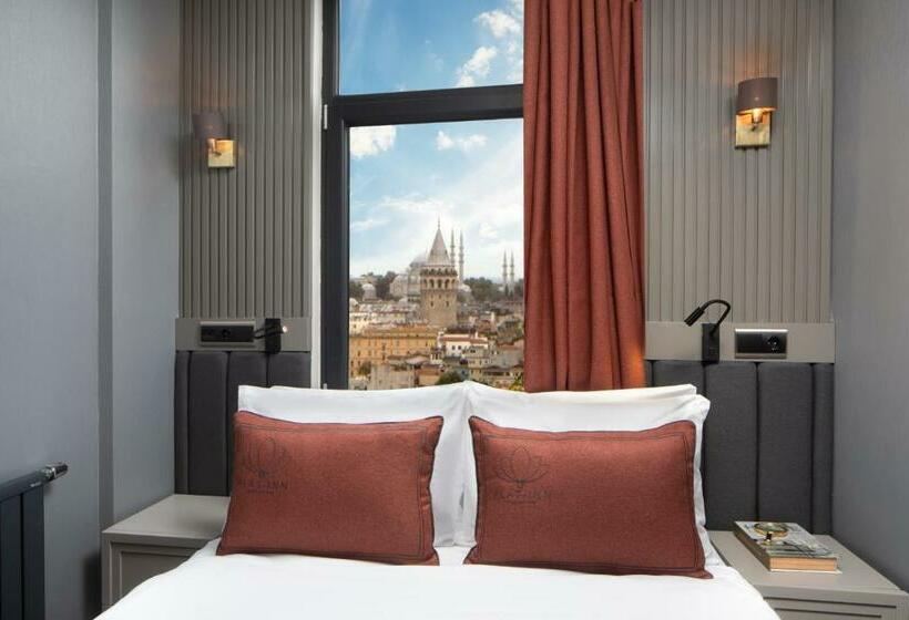 اتاق استاندارد, Plat Inn Hotel Taksim   Special Category