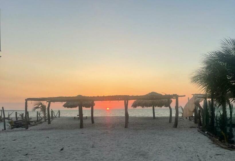 آپارتمان 1 خوابه با تراس, Gema Aparthotel & Beach