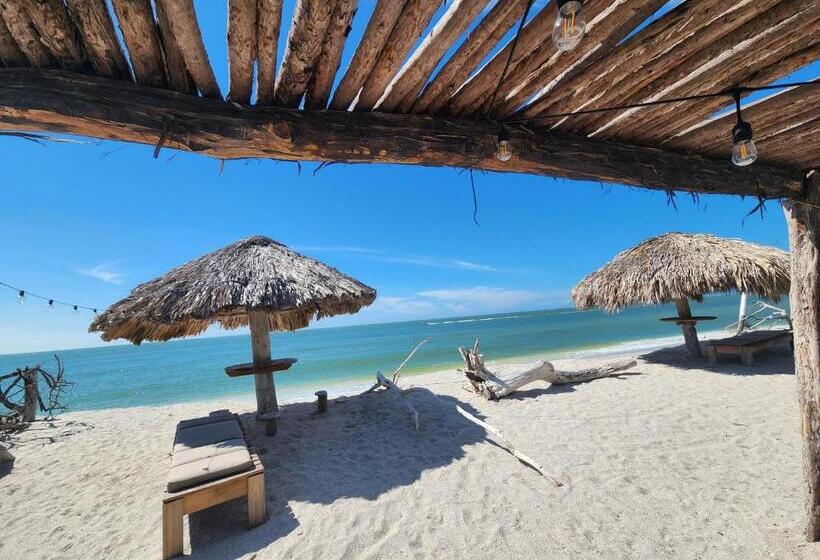 آپارتمان 1 خوابه با تراس, Gema Aparthotel & Beach
