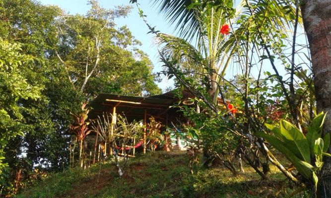 Quarto Quádruplo Estandar, Vista Alta Ecolodge Bahia Drake