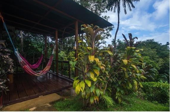 Quarto Quádruplo Estandar, Vista Alta Ecolodge Bahia Drake
