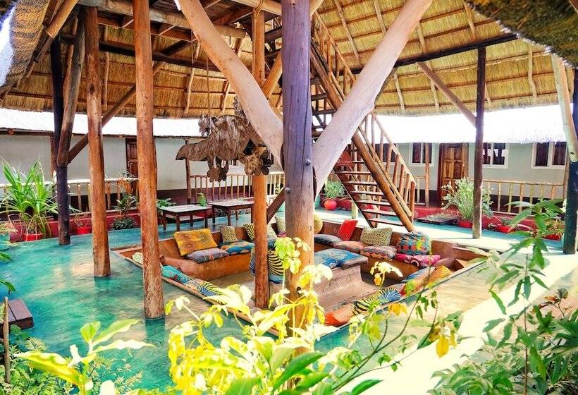 تختخواب در اتاق مشترک, Jollyboys Backpackers
