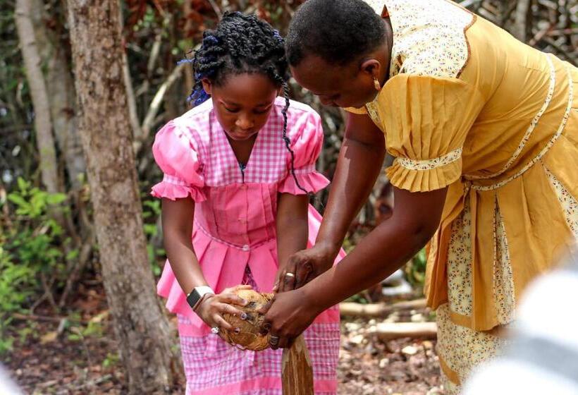 스탠다드 트리플 룸 가든 전망, Palmento Grove Garifuna Eco Cultural & Healing Institute