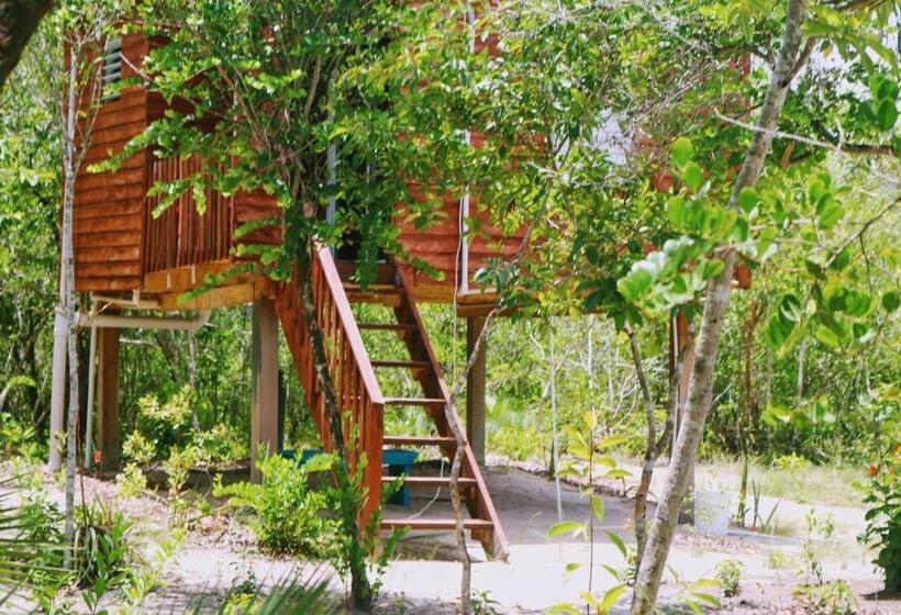 스탠다드 트리플 룸 가든 전망, Palmento Grove Garifuna Eco Cultural & Healing Institute