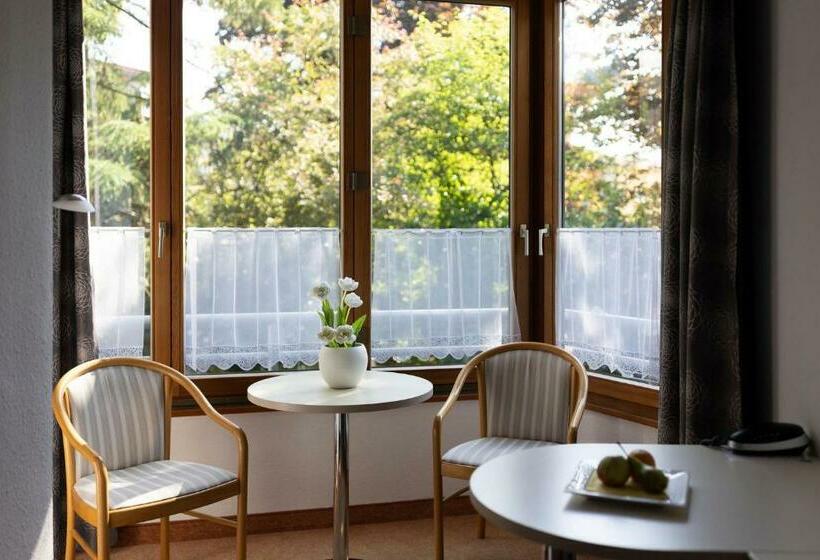 Номер Премиум, Thermenclubhotel All In